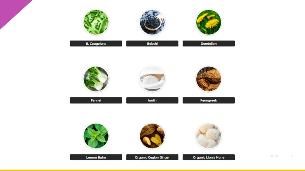 PrimeBiome Ingredients and Their Benefits