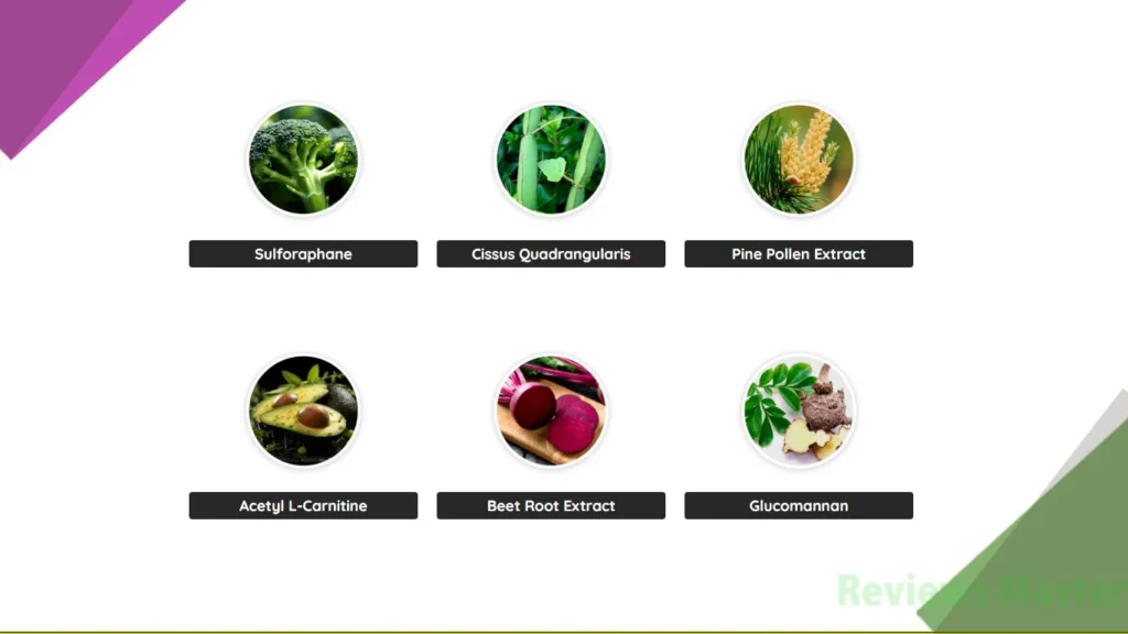 LipoSlend Ingredients